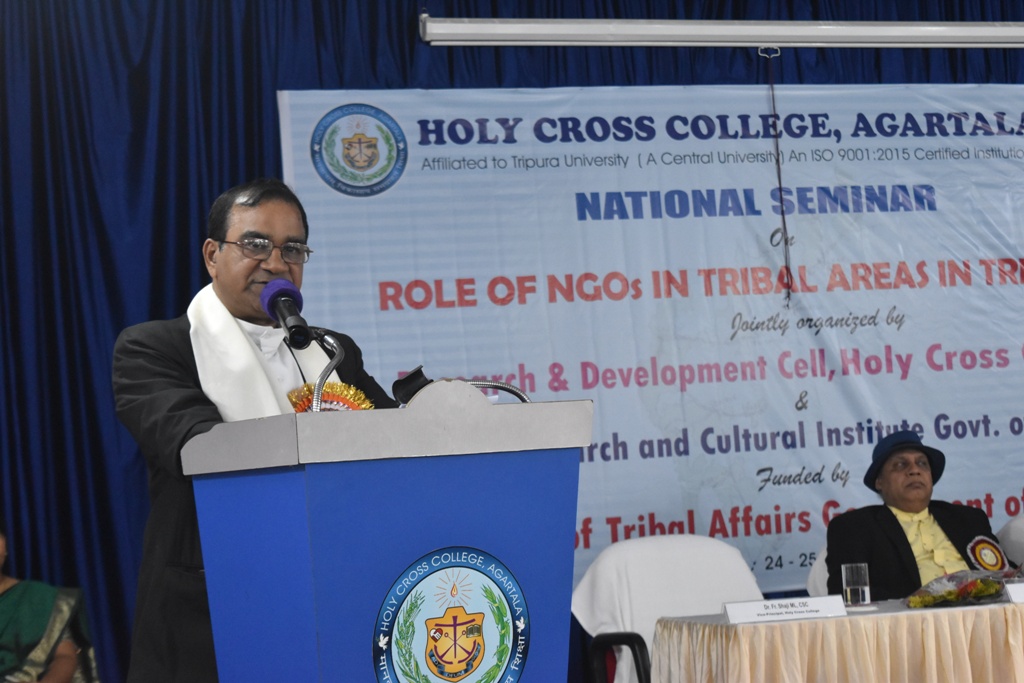 holy cross college